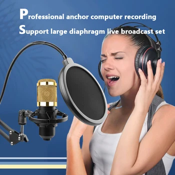 Agățat Microfoane de Studio, Microfoane Condensator Pentru KTV Karaoke Radio Braodcasting Cântând Înregistrare Computer Live Microfon 8