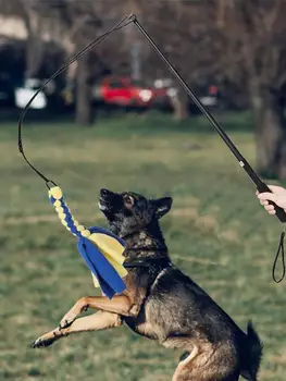Câinele Flirt Pol Cu Remorcher Jucărie Interactiv Teaser Bagheta Pentru Câini Remorcher De Război Jucărie Extensibila Catelus Bagheta Pentru Mediu Pentru Câini De Talie Mare