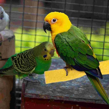 Jucarii Papagal Sta Papagal Cusca Accesorii Pasăre De Formare De Lungă Coada Produse Pentru Animale De Companie Biban Stinghii 21