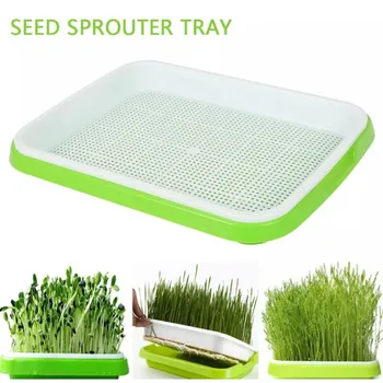 Micro Verdeturi Sprouter Tava Hidroponice Germinare Tava Pentru Germina Horticole Sisteme Hidroponice Tava Pepinieră Grădină Ghiveci 10
